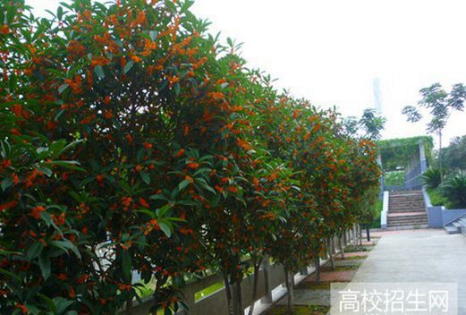 德陽(yáng)通用電子科技學(xué)校