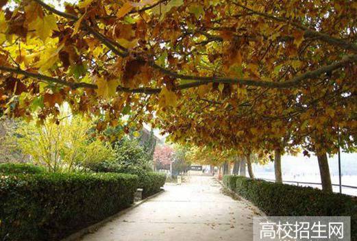 廣安市武勝嘉陵職業(yè)技術學校