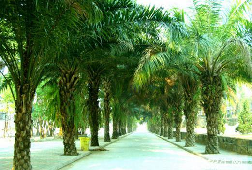 德宏師范高等專科學校