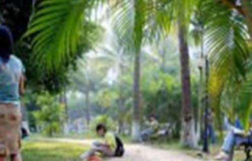 西盟佤族自治縣職業(yè)高級中學