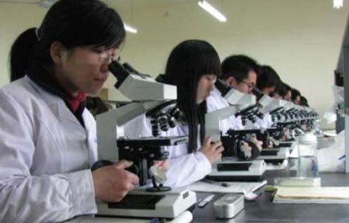 永平縣職業(yè)高級中學