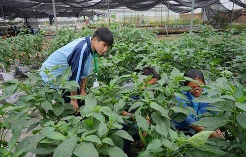 德宏州農(nóng)業(yè)學(xué)校