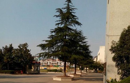 江蘇靖江中等專業(yè)學校