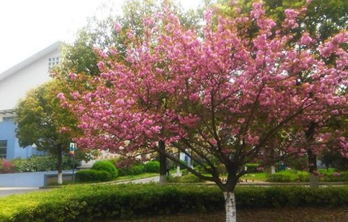 南京交通技師學(xué)院