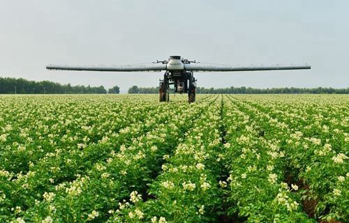 云南大理農(nóng)業(yè)學(xué)校