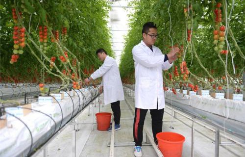 江蘇海安農(nóng)業(yè)工程學(xué)校