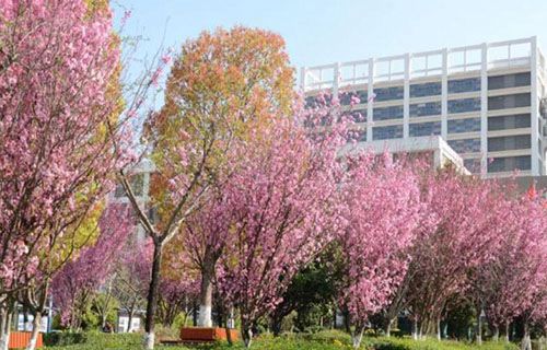 云南工程技術(shù)學(xué)校