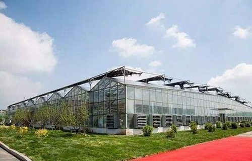 麗江市農(nóng)業(yè)學(xué)校