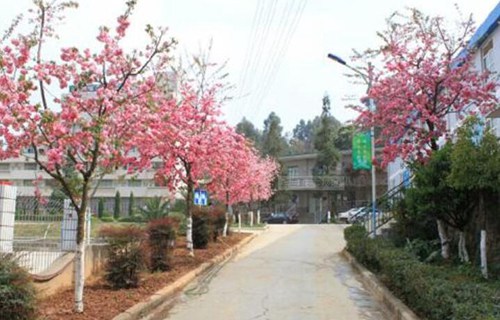 云南省化工高級技工學(xué)校