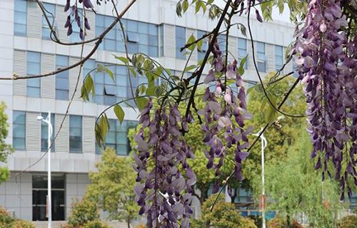 南京金陵高等職業(yè)技術(shù)學(xué)校