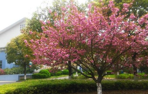 江蘇泰興技工學(xué)校