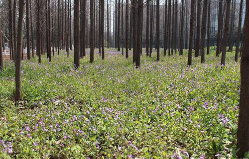 南京華東信息工程技工學(xué)校