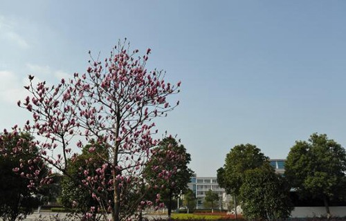 無錫技師學(xué)院