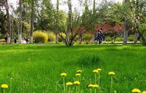 雙江自治縣職業(yè)教育中心