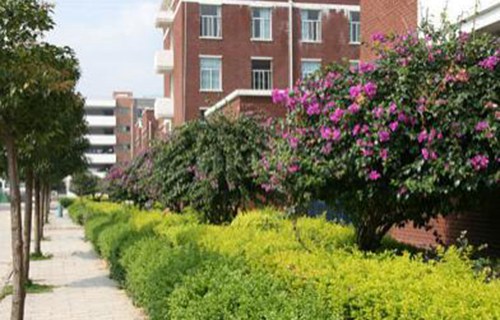 臨滄技工學(xué)校