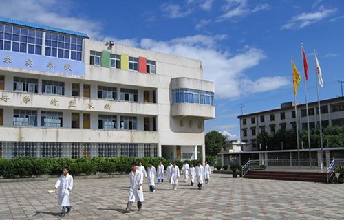 臨滄衛(wèi)生學(xué)校