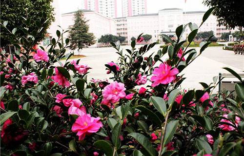 玉溪工業(yè)財(cái)貿(mào)學(xué)校