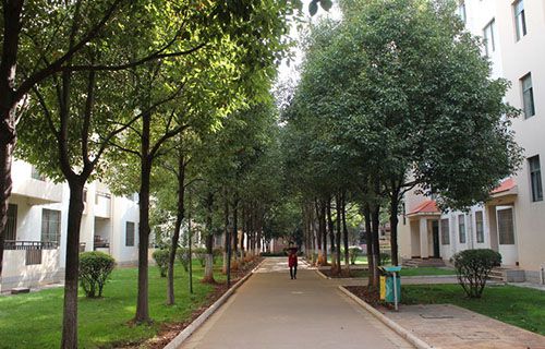 玉溪工業(yè)財(cái)貿(mào)學(xué)校