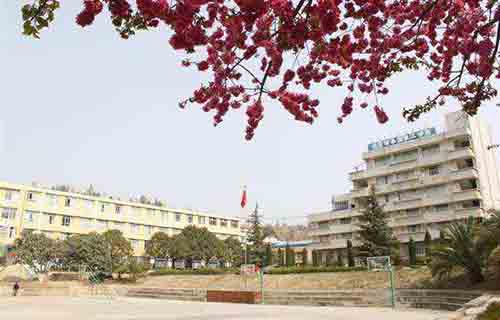 云南林業(yè)技工學校