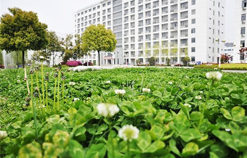 中國有色十四冶技工學(xué)校