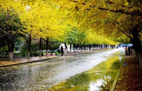 晉寧縣職業(yè)高級(jí)中學(xué)