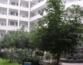 麻江縣中等職業(yè)技術(shù)學校