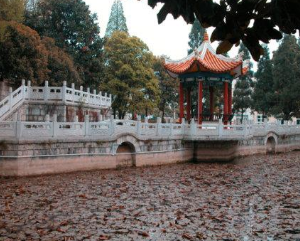 西秀區(qū)安吉職業(yè)技術學校