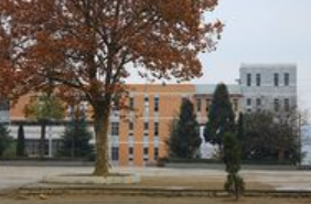 鎮(zhèn)寧民族職業(yè)技術(shù)中學