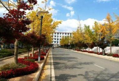 云南林業(yè)職業(yè)技術學院