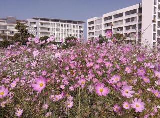 云南能源職業(yè)技術學院