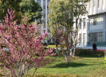 云南能源職業(yè)技術學院