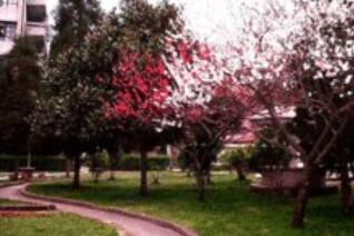 云南省化工學校