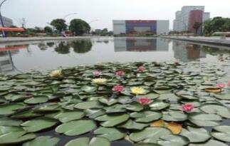 江南影視藝術(shù)職業(yè)學(xué)院