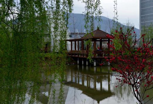 連云港中醫(yī)藥高等職業(yè)技術(shù)學(xué)校