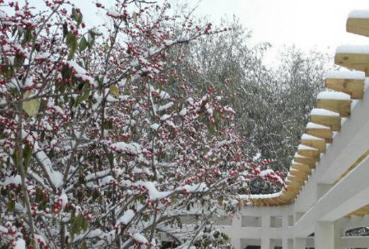 白城醫(yī)學(xué)高等?？茖W(xué)校