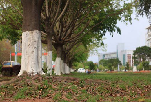 江西應(yīng)用技術(shù)職業(yè)學(xué)院