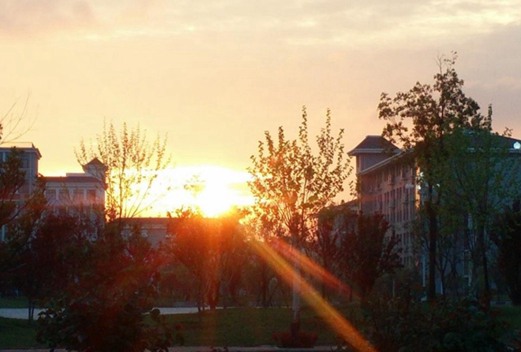 遼寧農(nóng)業(yè)職業(yè)技術(shù)學(xué)院