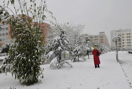 遼寧交通高等專科學(xué)校