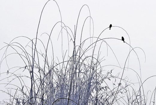 遼寧交通高等?？茖W(xué)校