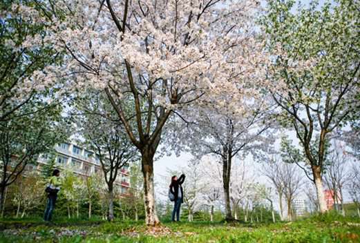 江蘇經(jīng)貿(mào)職業(yè)技術(shù)學院