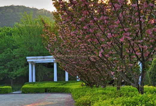 無錫南洋職業(yè)技術學院