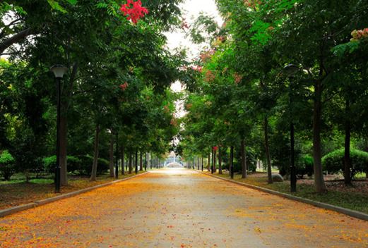 江蘇食品藥品職業(yè)技術(shù)學(xué)院
