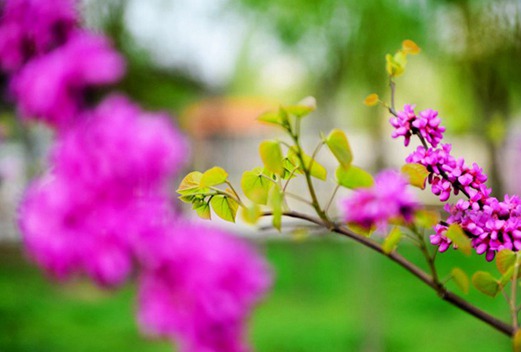 朝陽(yáng)市衛(wèi)生學(xué)校