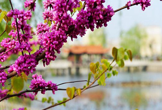 朝陽(yáng)市衛(wèi)生學(xué)校