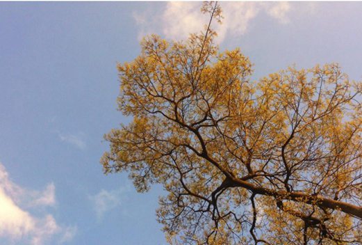 營口市衛(wèi)生學(xué)校