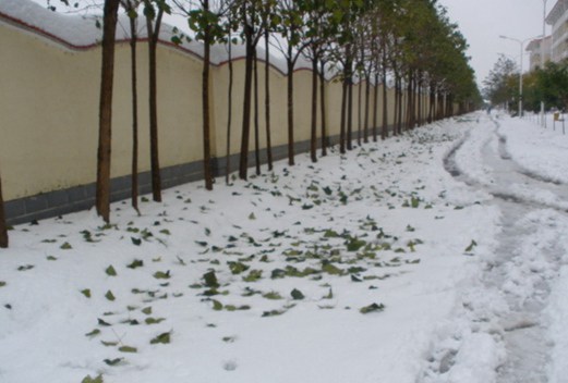 營口市衛(wèi)生學(xué)校