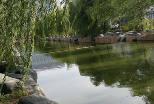 保定幼兒師范高等?？茖W(xué)校