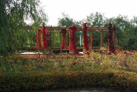 保定幼兒師范高等?？茖W(xué)校