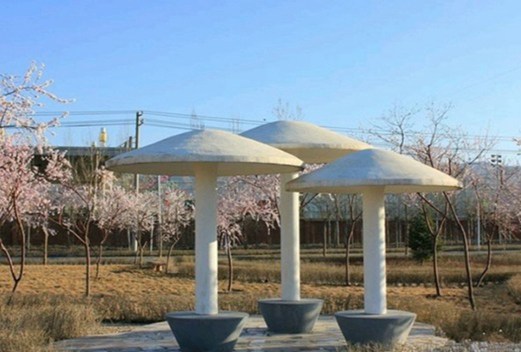 保定幼兒師范高等專科學(xué)校