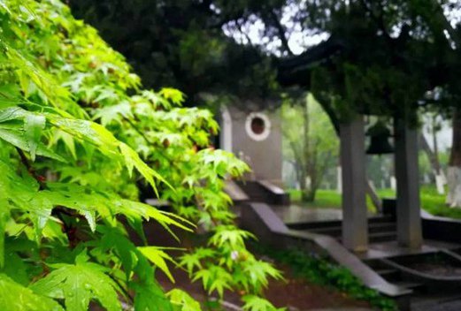 江蘇護理職業(yè)學(xué)院